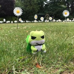 ☕🐸Coffee Frog Travel Blog🐸☕