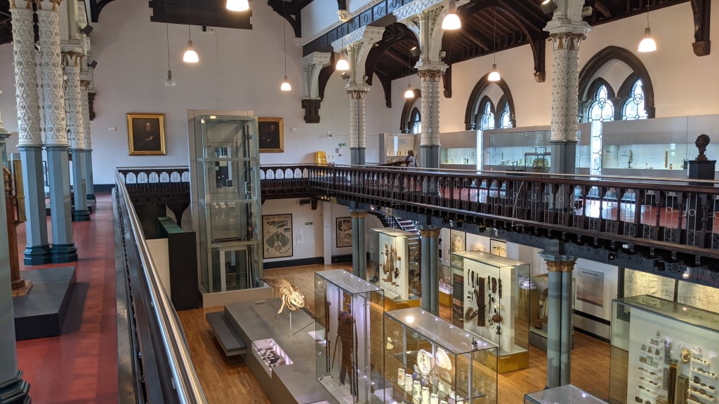 🐐Hunterian Museum – Five Unique Finds in an Offbeat Collection