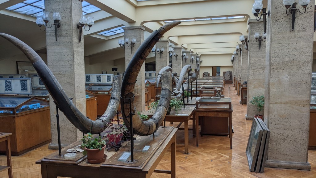 🦣🇦🇶 Sofia University’s Paleontology Museum and Bulgarian Antarctic Institute – A Frosty Reception