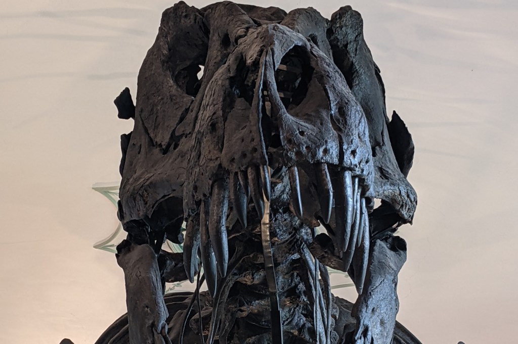 🦖 Titus: T-Rex is King – Bone of Contention